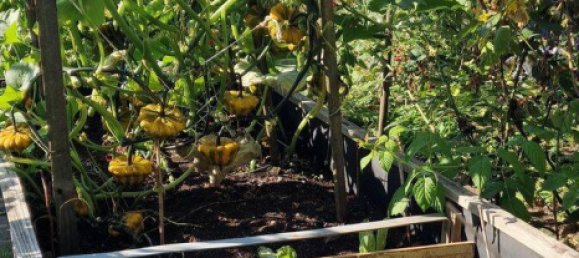 Terreno en Stuttgart, Germany No. 329075 11