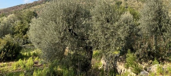 3 bedrooms House in Fondi, Italy No. 130715 21