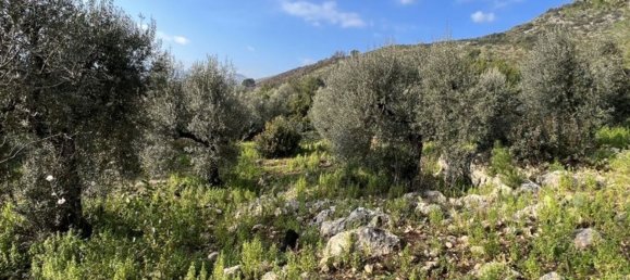 3 bedrooms House in Fondi, Italy No. 130715 6