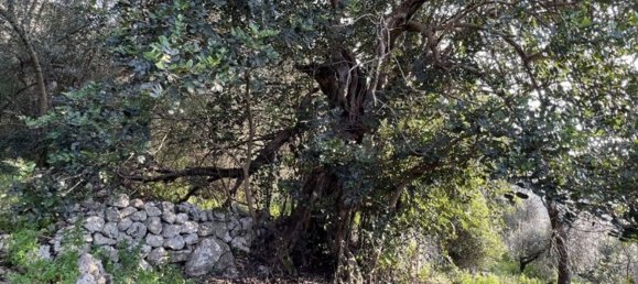 3 bedrooms House in Fondi, Italy No. 130715 19