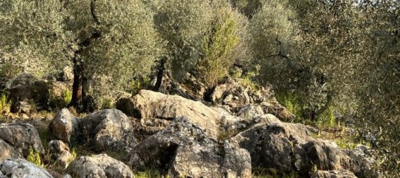 3 bedrooms House in Fondi, Italy No. 130715 14