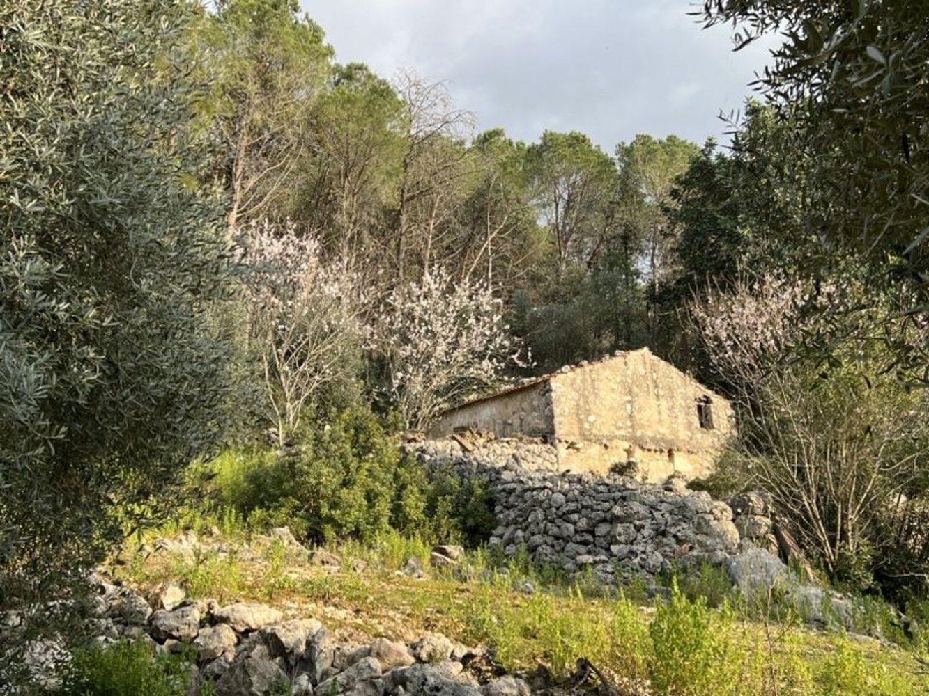 3 bedrooms House in Fondi, Italy No. 130715