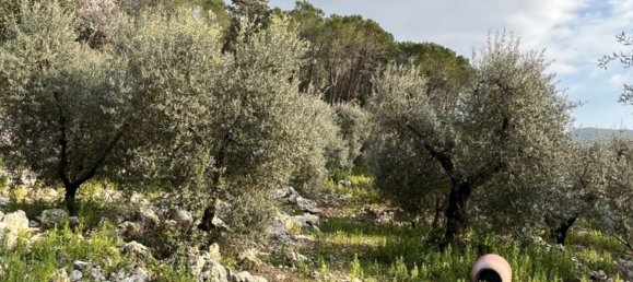 3 bedrooms House in Fondi, Italy No. 130715 12