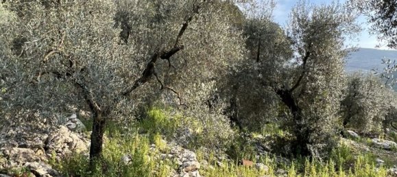 3 bedrooms House in Fondi, Italy No. 130715 11