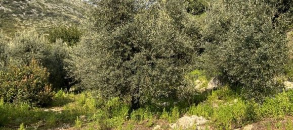 3 bedrooms House in Fondi, Italy No. 130715 10