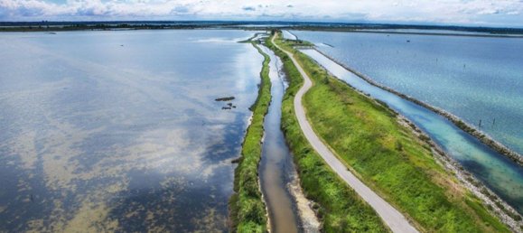 6 rooms House in Rosolina, Italy No. 300214 8