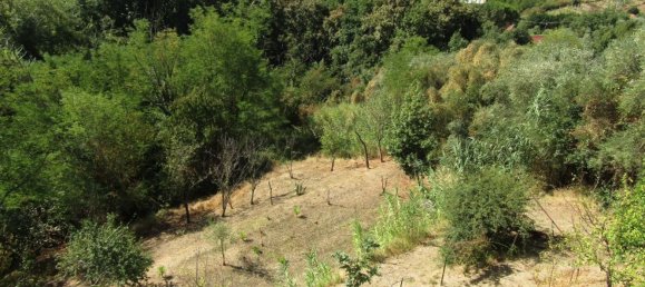 Casa de 5 habitaciónes en Carrara, Italy No. 48154 5