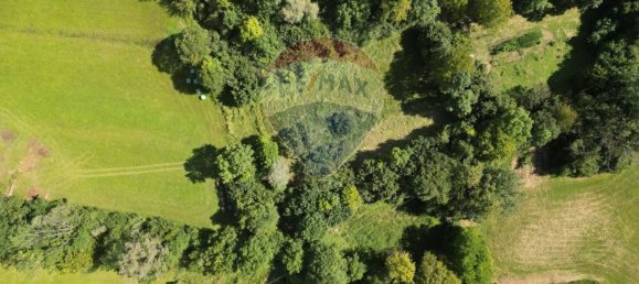 2-Zimmer Haus in Belluno, Italy, Nr. 273110 21