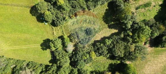 2-Zimmer Haus in Belluno, Italy, Nr. 273110 20