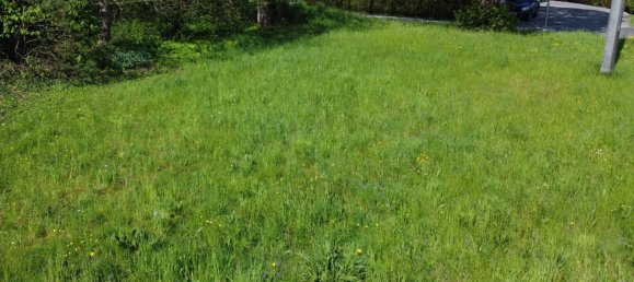 Terreno en Strasswalchen, Austria 800 m² No. 6671 3