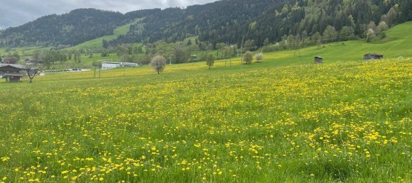 3 bedrooms House in Wildschonau, Austria No. 145021 8