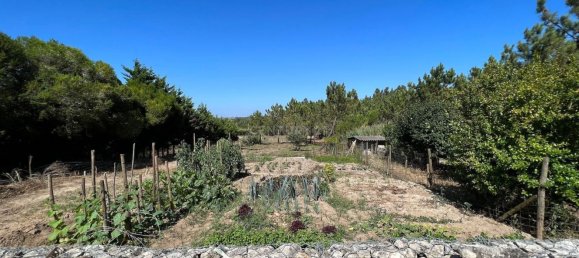 3 bedrooms House in Caldas da Rainha, Portugal No. 146596 30