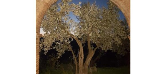 2 bedrooms House in Fragneto Monforte, Italy No. 253527 6