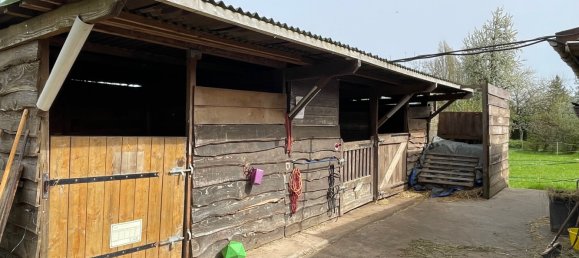 3 bedrooms House in Le Gault-Soigny, France No. 71257 6