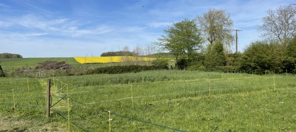 3 bedrooms House in Le Gault-Soigny, France No. 71257 21