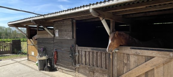 3 bedrooms House in Le Gault-Soigny, France No. 71257 4