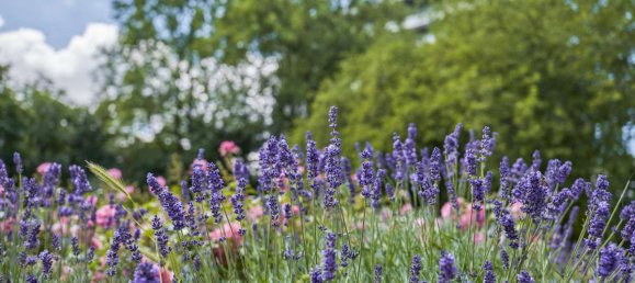 2 غرف نوم شقة في Munich, Germany رقم 180089 13