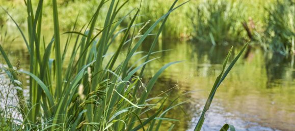 2 غرف نوم شقة في Munich, Germany رقم 180089 14