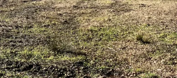 6744m² Land in Correze, France No. 96003 5