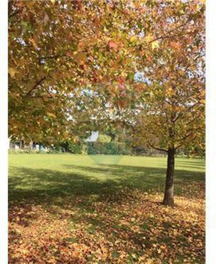  قطعة أرض في Pilar, Argentina رقم 40599