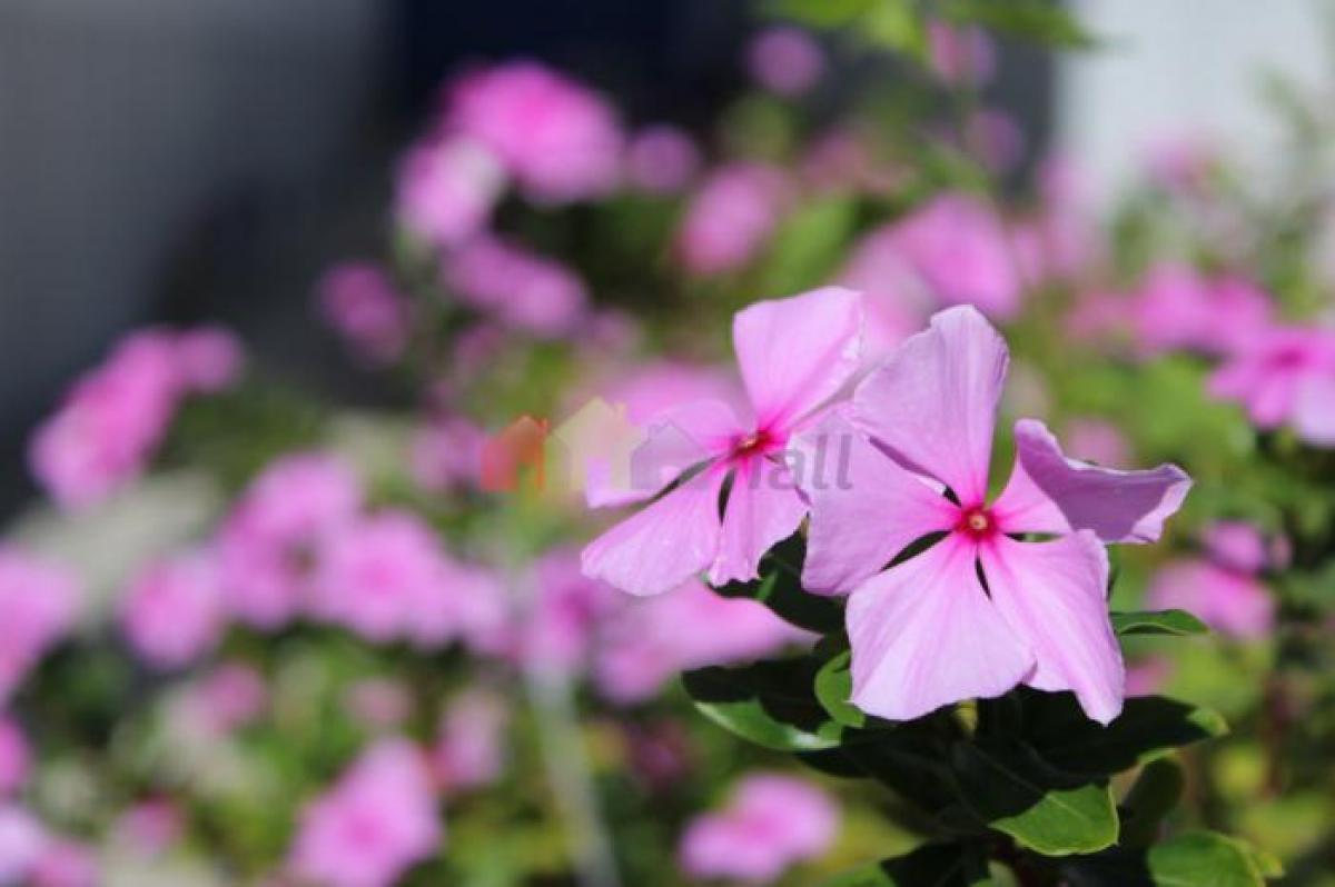 3 bedrooms Apartment in Beja, Portugal No. 1170