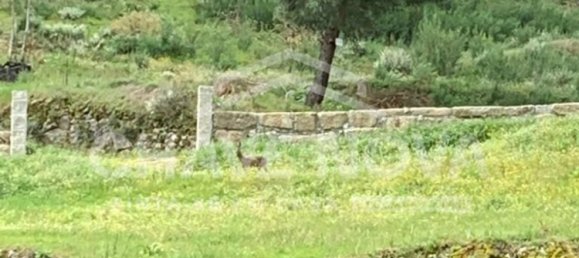 3 غرف نوم منزل في Gouveia, Portugal رقم 79353 24