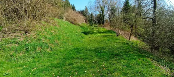 8 rooms House in Hainfeld, Austria No. 141443 22