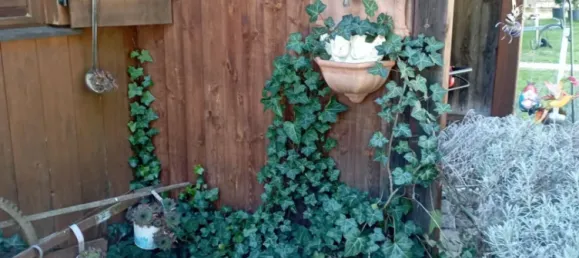 8 rooms House in Hainfeld, Austria No. 141443 10