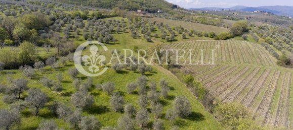 10 غرف نوم منزل في Pelago, Italy رقم 178545 2