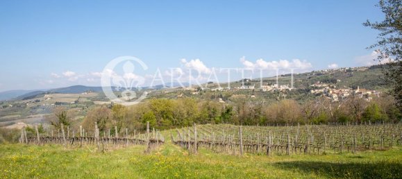 10 غرف نوم منزل في Pelago, Italy رقم 178545 3