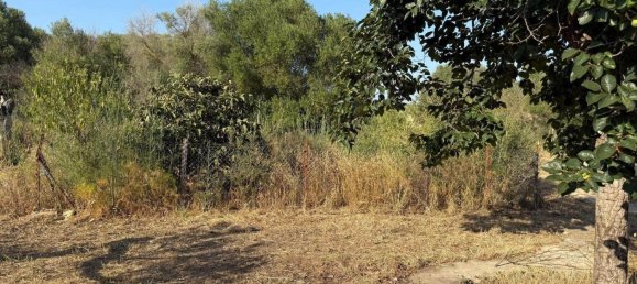 1 bedroom House in Campanet, Spain No. 150489 53