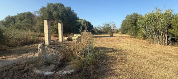 1 bedroom House in Campanet, Spain No. 150489 49