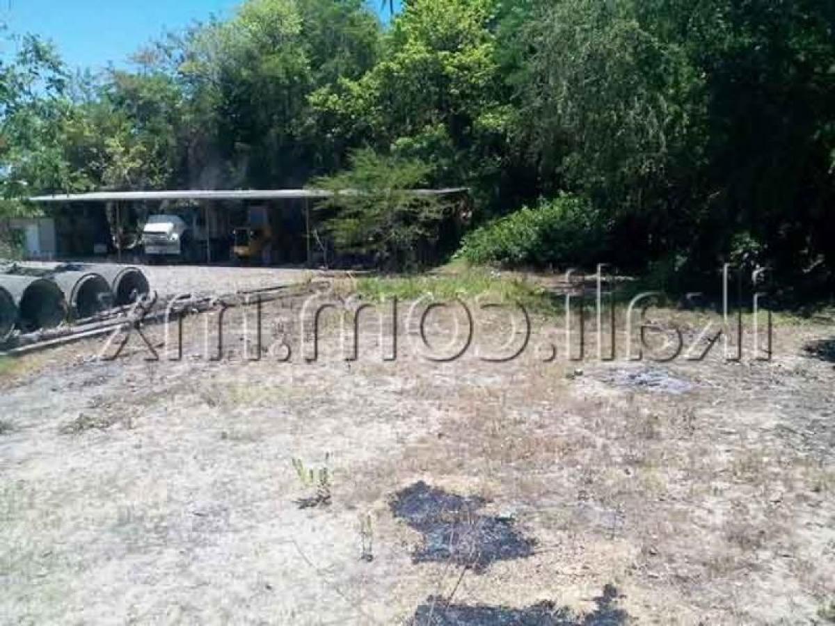 Земельный участок в Веракрус, Мексика № 205345