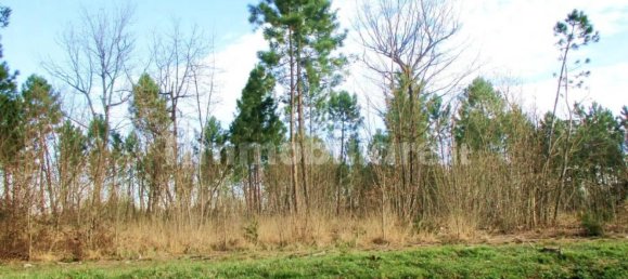 10 bedrooms Villa in Castelfranco di Sotto, Italy No. 203900 8