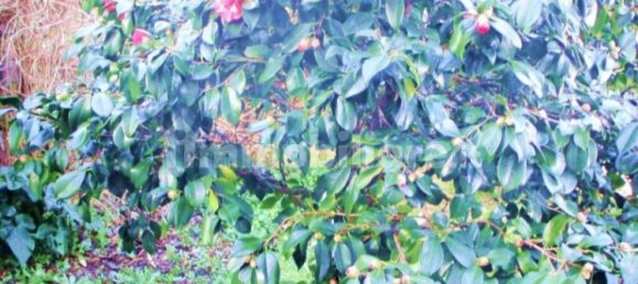 10 bedrooms Villa in Castelfranco di Sotto, Italy No. 203900 9