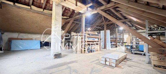 Gewerbliche Immobilie in Enzkreis, Germany 330m², Nr. 74038 2