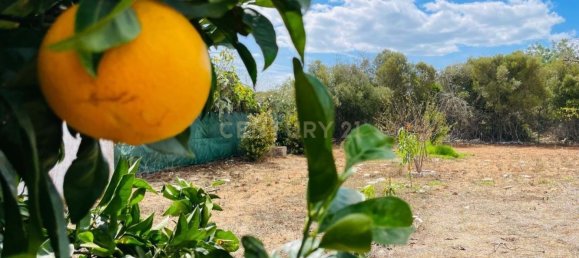 3 bedrooms Land in Olhao, Portugal No. 135772 33