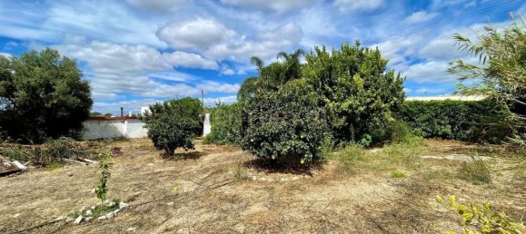 3 bedrooms Land in Olhao, Portugal No. 135772 36