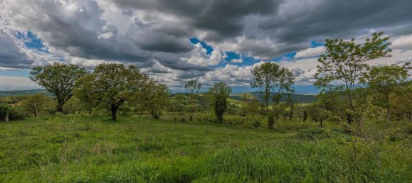 4-salle Maison à Roccalbegna, Italy No. 83514 2