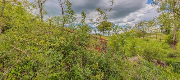 4-salle Maison à Roccalbegna, Italy No. 83514 5