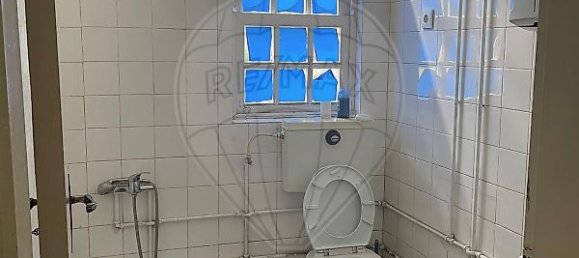 4 bedrooms House in Ribeira de Pena, Portugal No. 19575 47