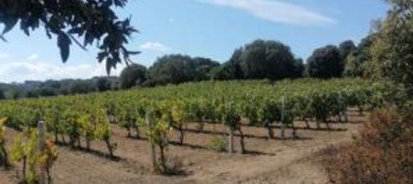 Villa T4 em Aglientu, Italy N.º 318168 30