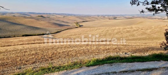 Villa de 20 dormitorios en Lajatico, Italy No. 73669 4