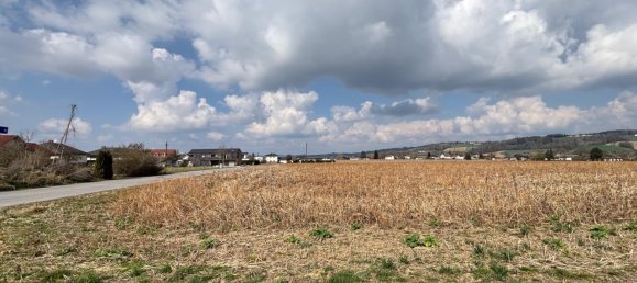  قطعة أرض في St. Florian am Inn, Austria رقم 134302 3