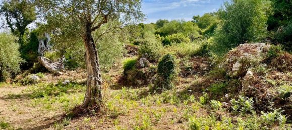 4162m² Hotel in Corfu, Greece No. 57249 21