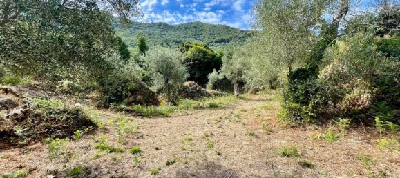 4162m² Hotel in Corfu, Greece No. 57249 16