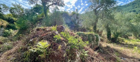 4162m² Hotel in Corfu, Greece No. 57249 19