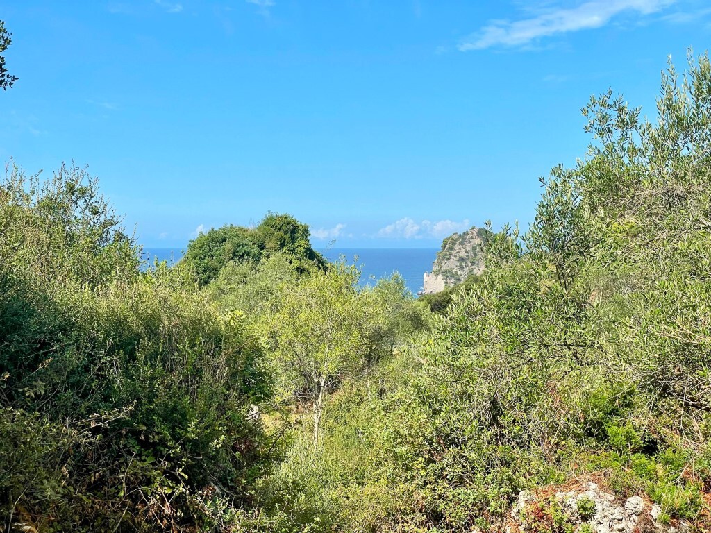 4162m² Hotel in Corfu, Greece No. 57249