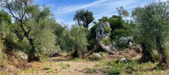 4162m² Hotel in Corfu, Greece No. 57249 15