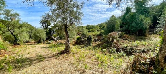 4162m² Hotel in Corfu, Greece No. 57249 23